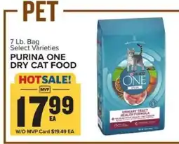Food Lion Purina One Dry Cat Food offer