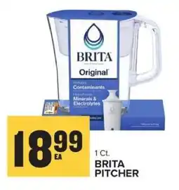 Food Lion Brita Pitcher offer