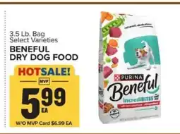 Food Lion Beneful Dry Dog Food offer