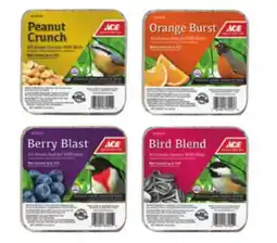 Ace Hardware Ace Bird Suet, 11 Oz offer
