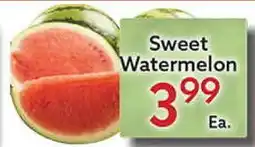 World Fresh Market Sweet Watermelon offer
