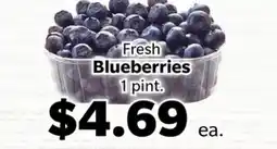 Living Fresh Market Fresh Blueberries offer