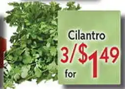 World Fresh Market Cilantro offer