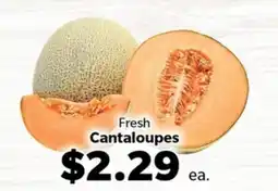 Living Fresh Market Fresh Cantaloupes offer
