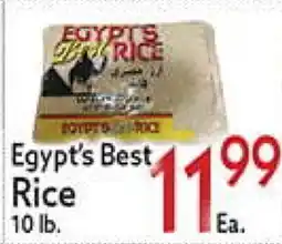 World Fresh Market Egypt's Best Rice offer