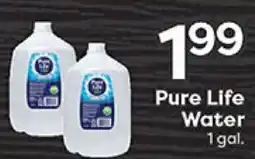 Rich's Fresh Market Pure Life Water offer