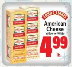 Angelo Caputo's Fresh Market LAND O LAKES American Cheese offer