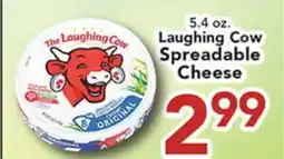Eurofresh Market Laughing Cow Spreadable Cheese offer