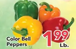 Eurofresh Market Color Bell Peppers offer