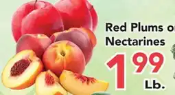 Eurofresh Market Red Plums or Nectarines offer