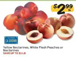Winn Dixie Yellow Nectarines, White Flesh Peaches or Nectarines offer