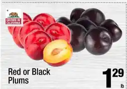 Super King Markets Red Or Black Plums offer