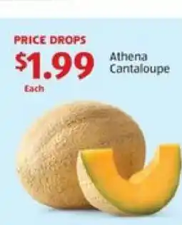Aldi Athena Cantaloupe offer