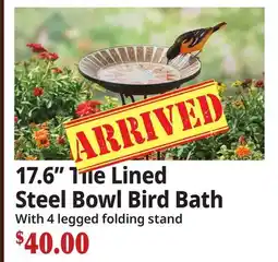 Ocean State Job Lot 17.6 Tile Lined Steel Bowl Bird Bath offer