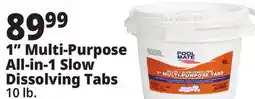 Ocean State Job Lot Pool Mate All-In-1 Slow-Dissolving 1 Multi-Purpose Tabs 10 lbs offer