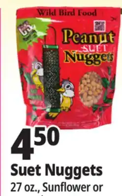 Ocean State Job Lot C&S Sunflower Suet Nuggets 27 oz offer