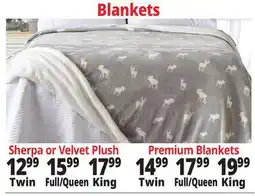 Ocean State Job Lot Blankets offer