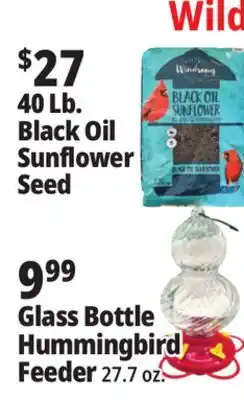 Ocean State Job Lot Black Oil Sunflower Seeds 40 lbs offer