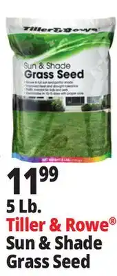 Ocean State Job Lot Tiller & Rowe Sun & Shade Grass Seed 5 lbs offer