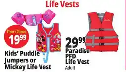 Ocean State Job Lot Life Vests offer