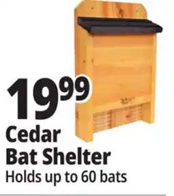 Ocean State Job Lot Cedar Bat Shelter offer