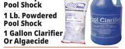 Ocean State Job Lot DryTec Powdered Pool Shock 1 lb offer