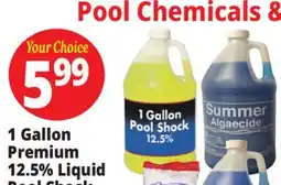 Ocean State Job Lot Pool Chemicals & Accessories offer