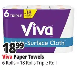 Ocean State Job Lot Viva Multi Surface Triple Roll Paper Towel 6=18 offer