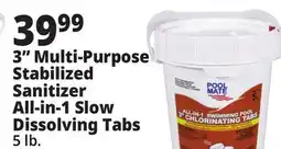 Ocean State Job Lot Pool Mate All-In-One 3 Chlorinating Tabs 5 lbs offer