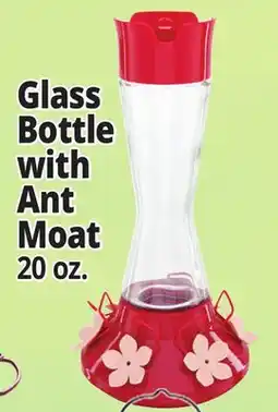 Ocean State Job Lot Glass Bottle with Ant Moat offer