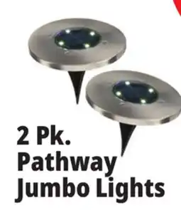 Ocean State Job Lot 2 Pk. Pathway Jumbo Lights offer