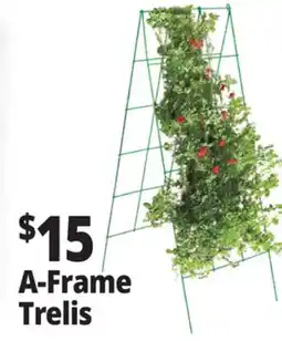 Ocean State Job Lot A-Frame Trellis Green 46 x 18 offer