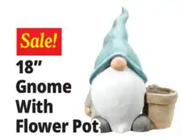 Ocean State Job Lot 18 Gnome With Flower Pot offer