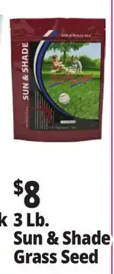 Ocean State Job Lot Premium Quality Sun & Shade Grass Seed Mixture 3 lbs offer