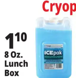 Ocean State Job Lot Cryopak Ice Pack Lunch Size offer