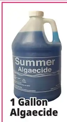 Ocean State Job Lot Summer Algaecide 1 Gal offer