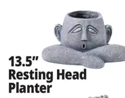 Ocean State Job Lot 13.5 Resting Head Planter offer