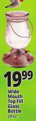 Ocean State Job Lot Perky Pet Top Fill Glass Hummingbird Feeder 24 oz offer