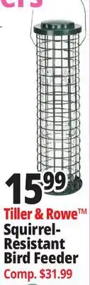 Ocean State Job Lot Tiller & Rowe Squirrel Proof Bird Feeder offer