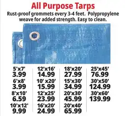 Ocean State Job Lot All Purpose Tarps offer