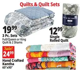 Ocean State Job Lot Quilts & Quilts Sets offer