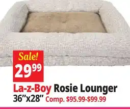 Ocean State Job Lot La-z-Boy Rosie Lounger 36x28 offer