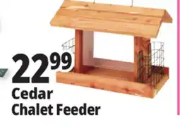 Ocean State Job Lot Cedar Chalet Feeder offer
