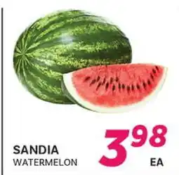 El Paso Grande SANDIA WATERMELON offer