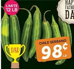 El Paso Grande CHILE SERRANO offer