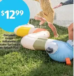Aldi Coconut Grove Inflatable Snake Sprinkler or Splash Pad offer
