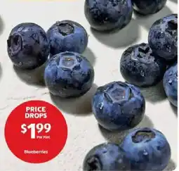 Aldi Blueberries offer
