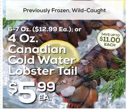 DeCicco & Sons 4 Oz. Canadian Cold Water Lobster Tail offer