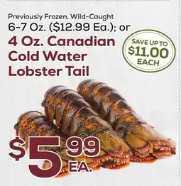 DeCicco & Sons 4 Oz. Canadian Cold Water Lobster Tail offer