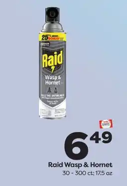 Weis Markets Raid Wasp & Hornet offer